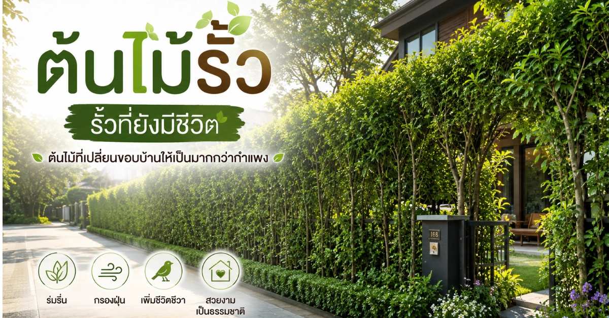 ต้นไม้รั้ว