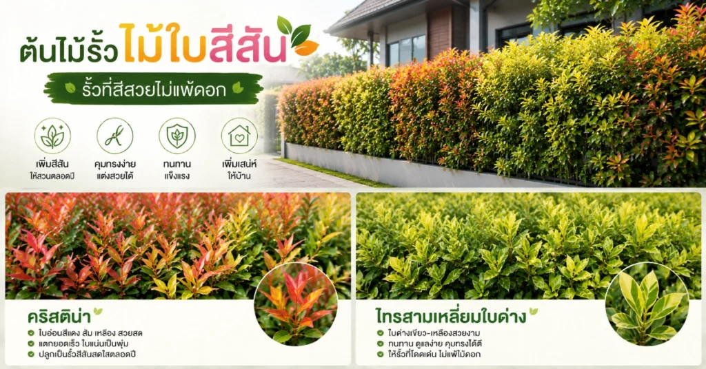 ต้นไม้รั้ว