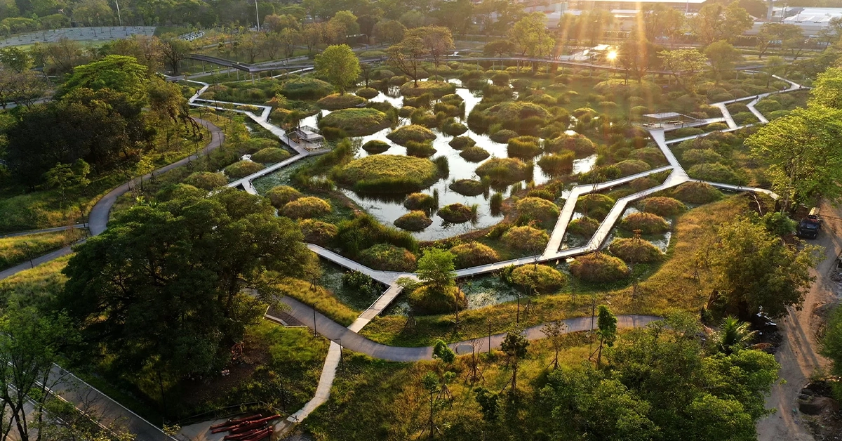 สวนเบญจกิติ ก่อนโรงงานบุหรี่จะกลายเป็นป่า เรื่องราวที่ทำหน้าที่มากกว่าพื้นที่พักผ่อน 109 สวนเบญจกิติ1
