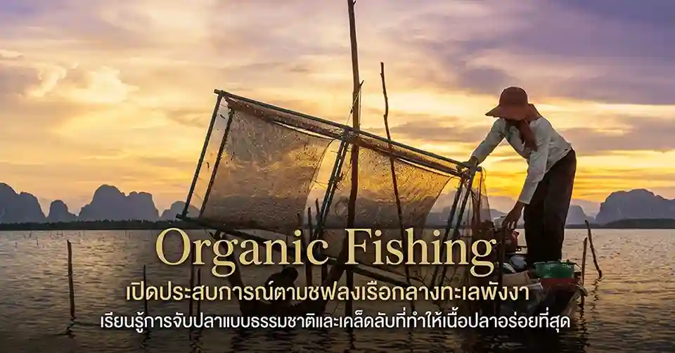 Organic