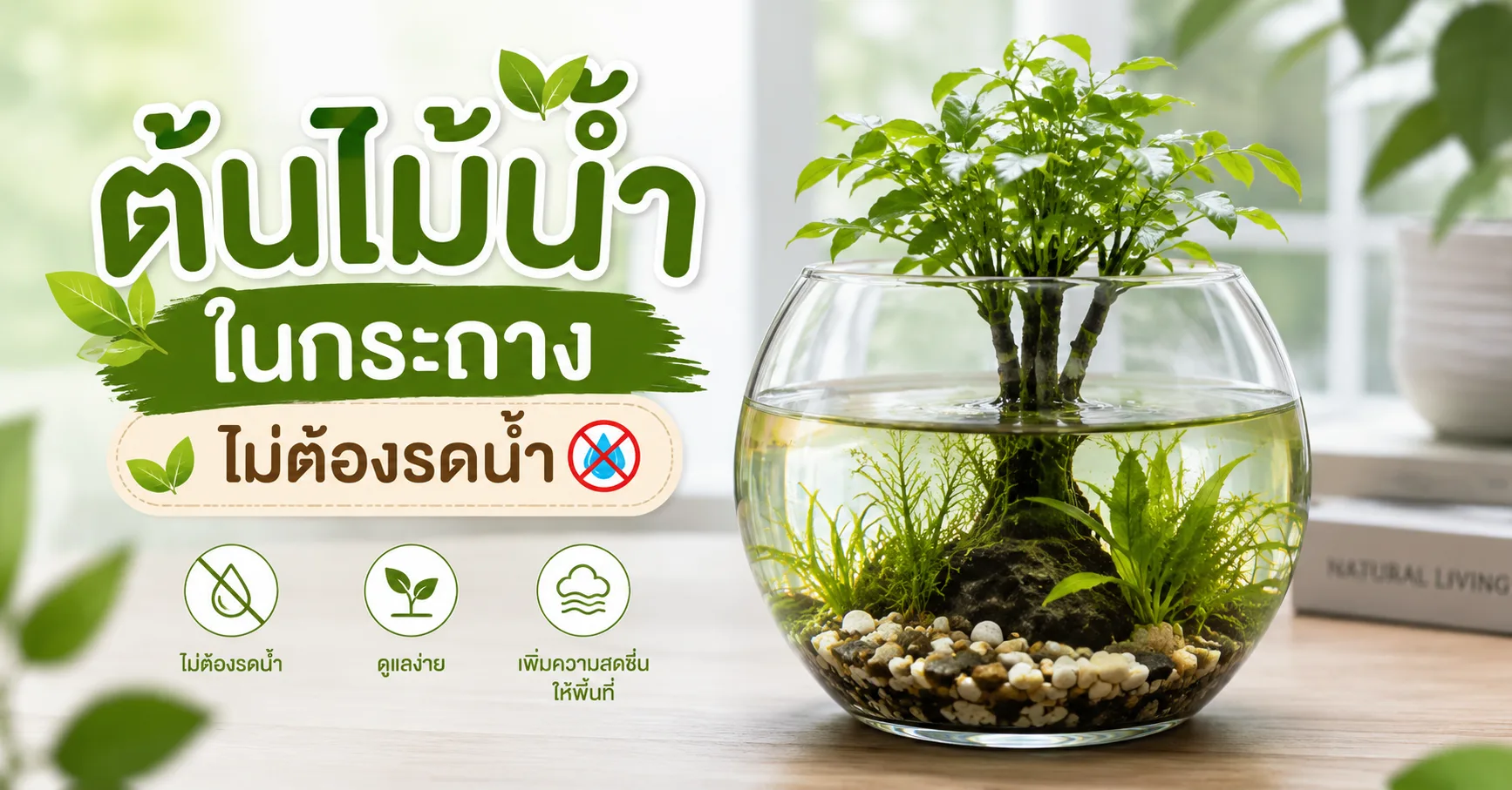 ต้นไม้น้ำ ในกระถาง