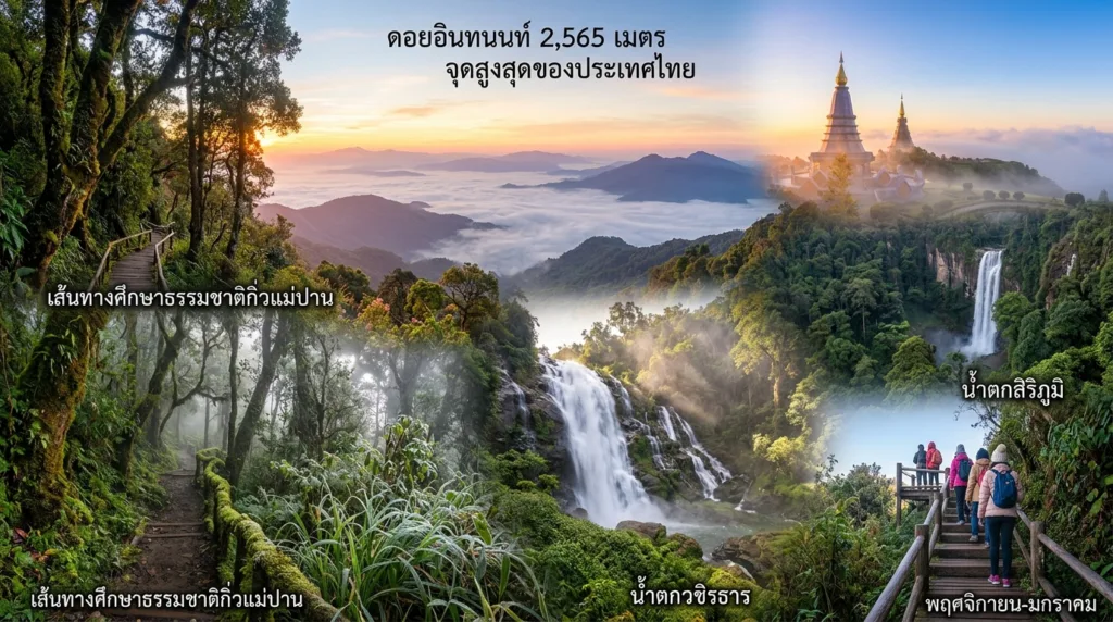 ที่เที่ยวเชียงใหม่ เมืองที่คนทำในสิ่งที่รัก บันทึก 20 สถานที่เชียงใหม่ที่ทำให้รู้ว่าทำไมเมืองนี้ถึงเป็น Happy City 436 ที่เที่ยวเชียงใหม่