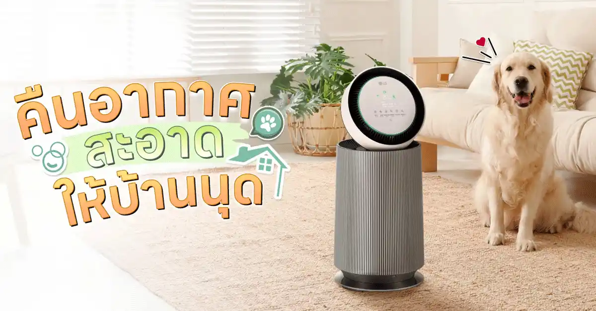 PM 2.5 กับสัตว์เลี้ยง วิธีดูแลแมวหมาและเลือกเครื่องฟอกอากาศที่ใช่ 76 PM 2.53 11zon