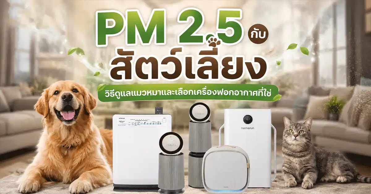 PM-2.5