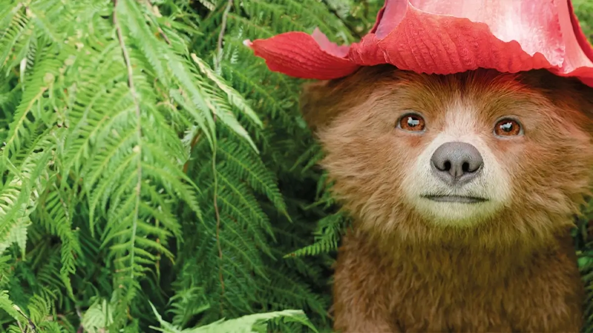 Paddington 4 2