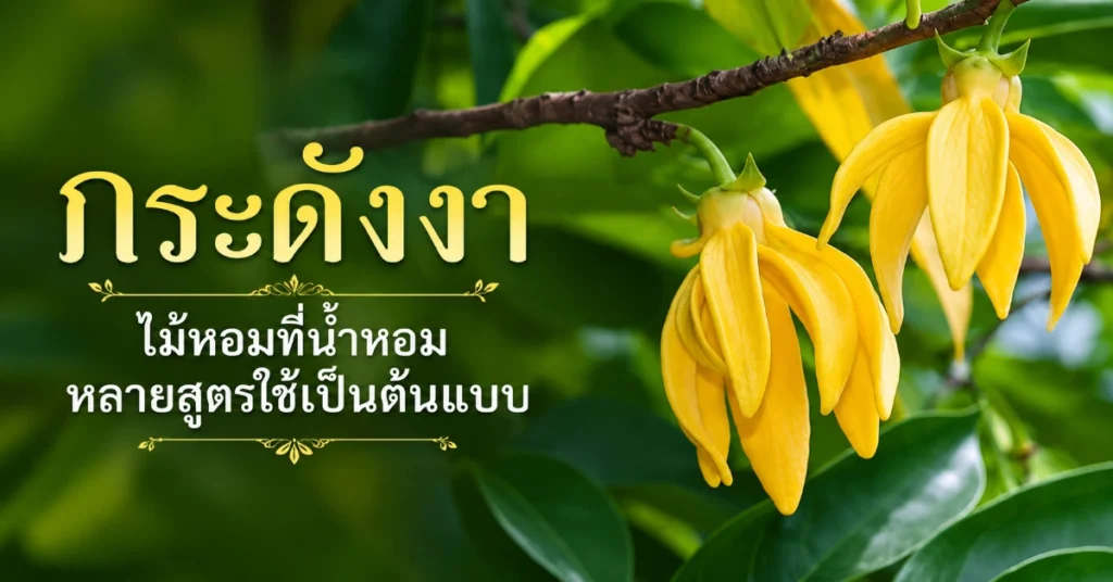 ไม้หอม