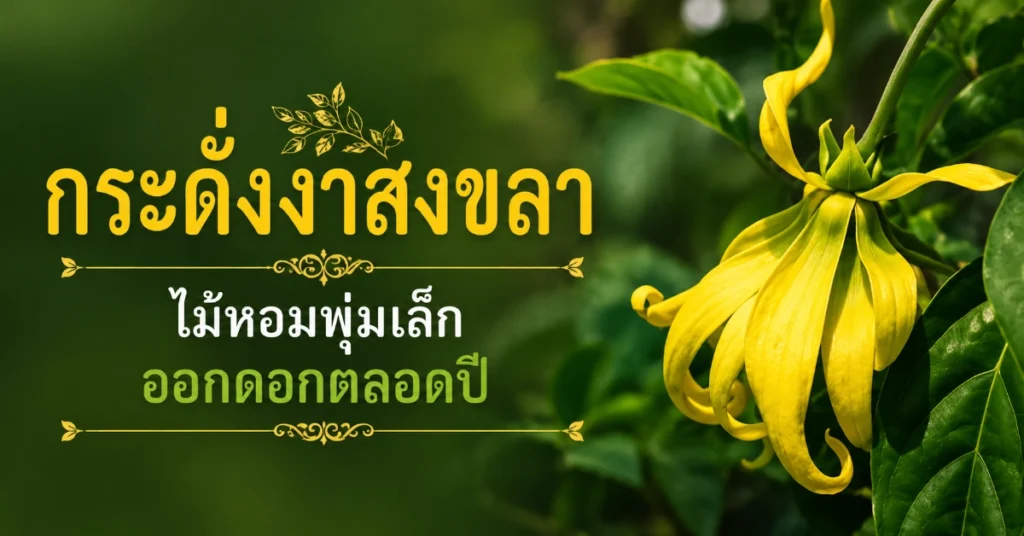 ไม้หอม