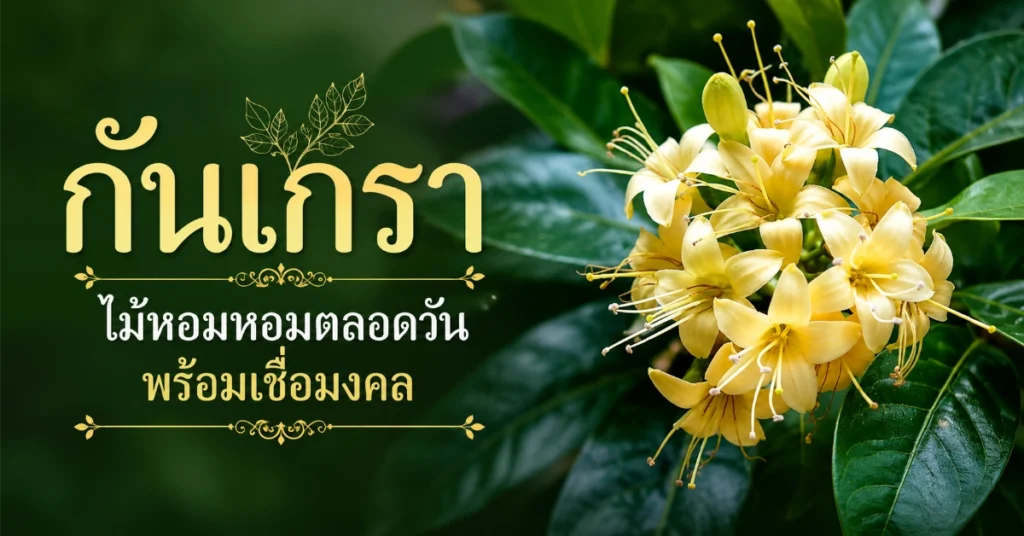 ไม้หอม