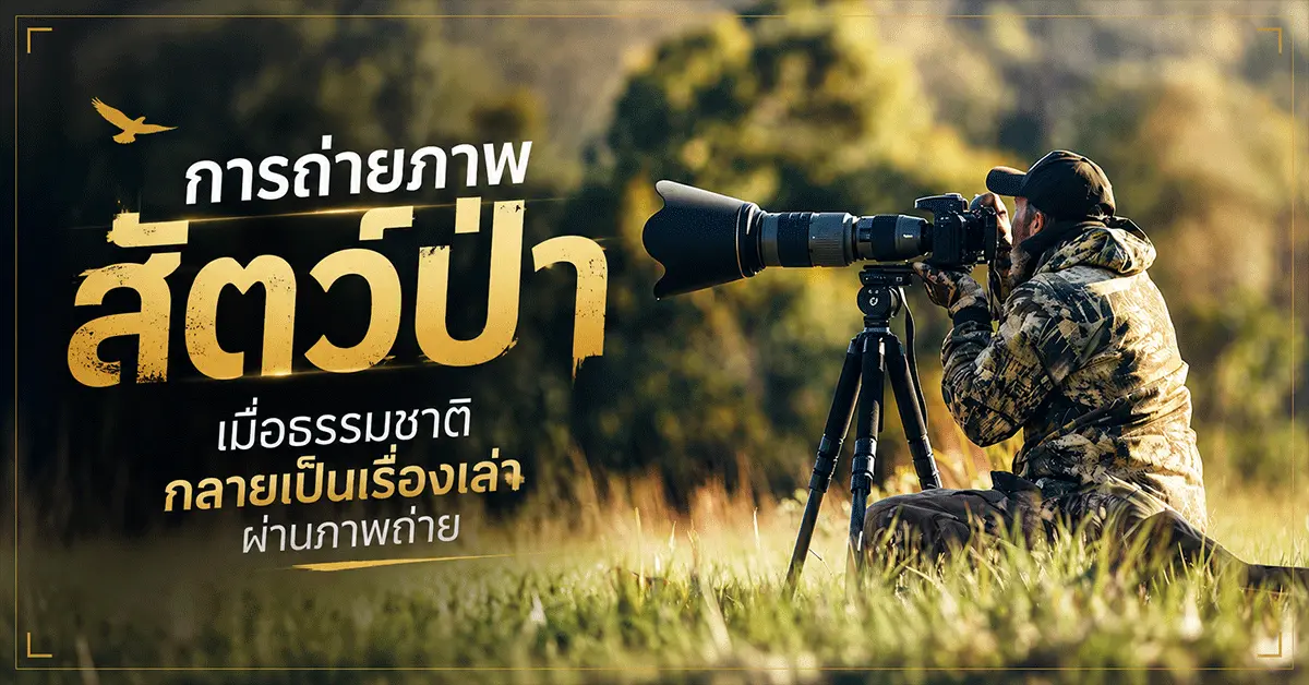 การถ่ายภาพสัตว์ป่า