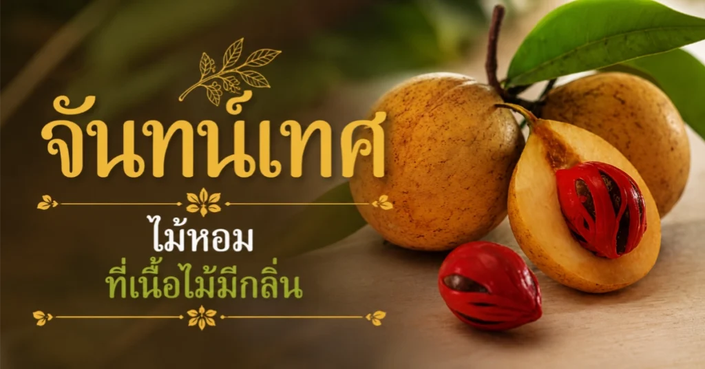 ไม้หอม