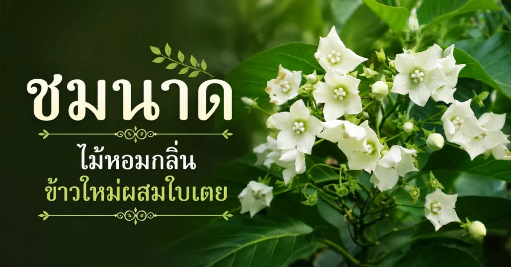 ไม้หอม