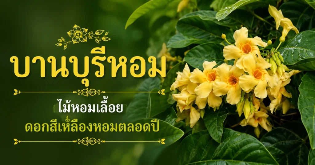 ไม้หอน