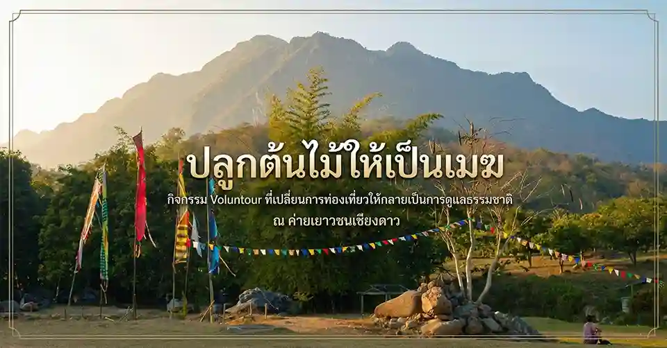 ปลูกต้นไม้ให้เป็นเมฆ