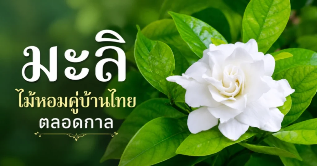 ไม้หอม