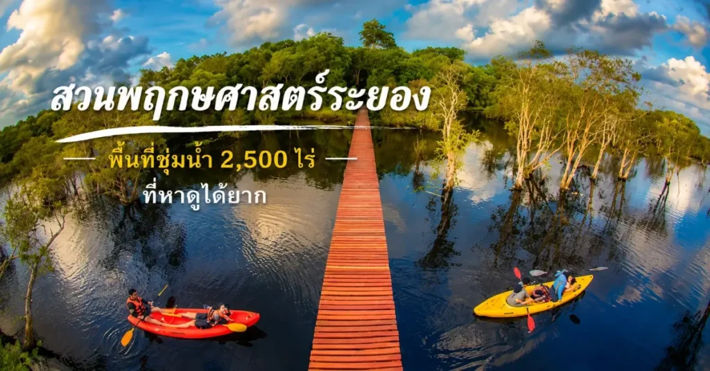 ที่เที่ยวระยอง