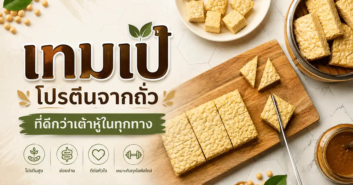 เทมเป้