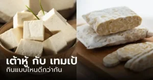เทมเป้ โปรตีนจากถั่วที่ดีกว่าเต้าหู้ในทุกทาง 55 เทมเป้2 1
