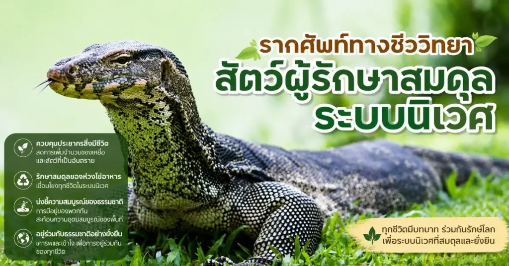 เหี้ย เปิดมิติภาษาศาสตร์ ถอดรหัส 12 ความหมายของสัตว์ผู้ถูกสาป สู่คำฮิตของคนรุ่นใหม่ 235 เหี้ย