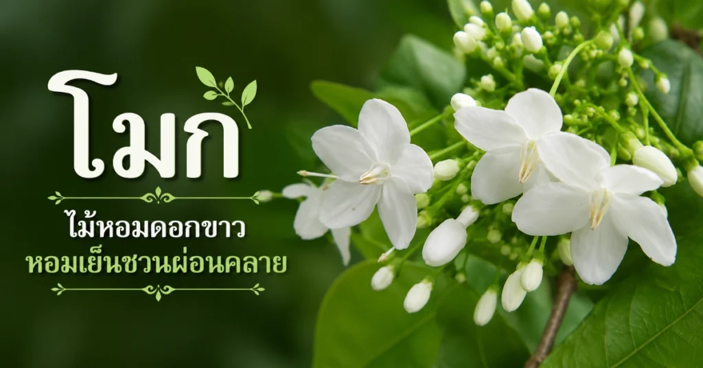 ไม้หอม
