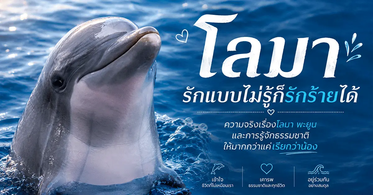 โลมา