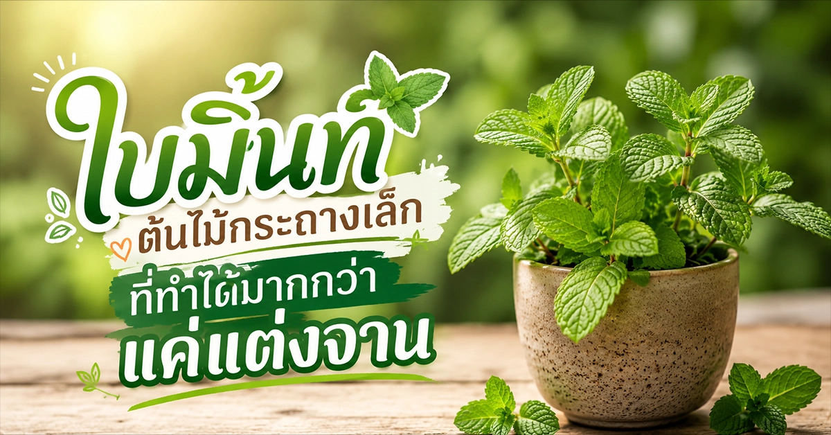 ใบมิ้นท์