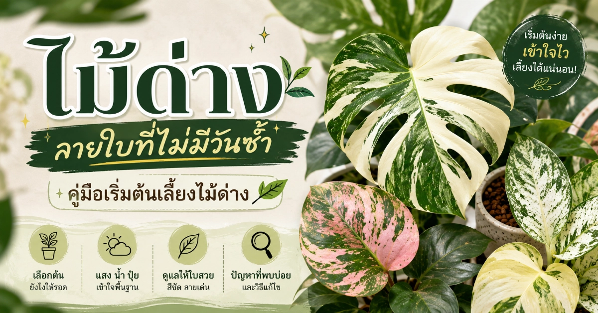 ไม้ด่าง