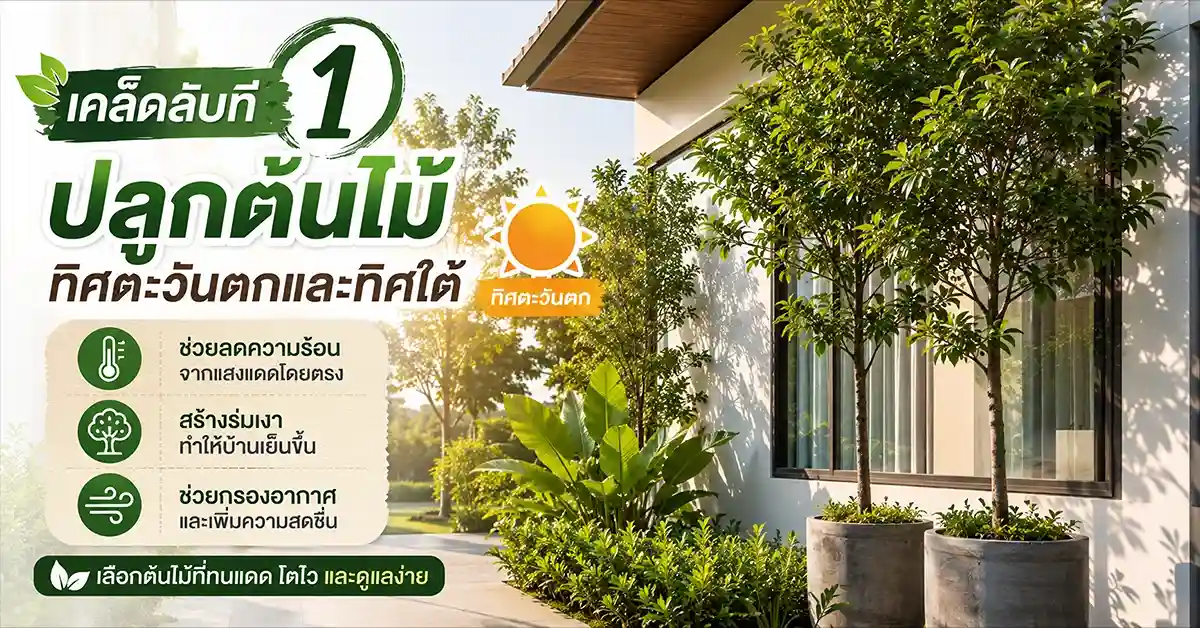 9 เคล็ดลับในการตกแต่งบ้าน1