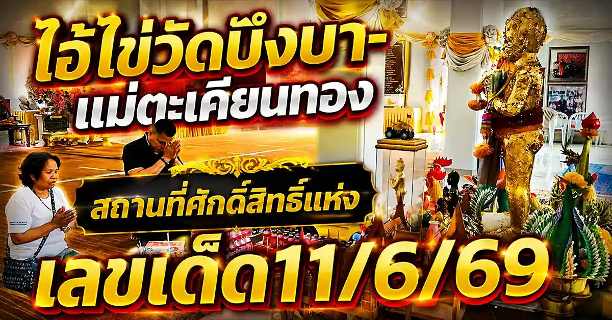 031 11zon 1 เลขเด็ด11/6/69 1