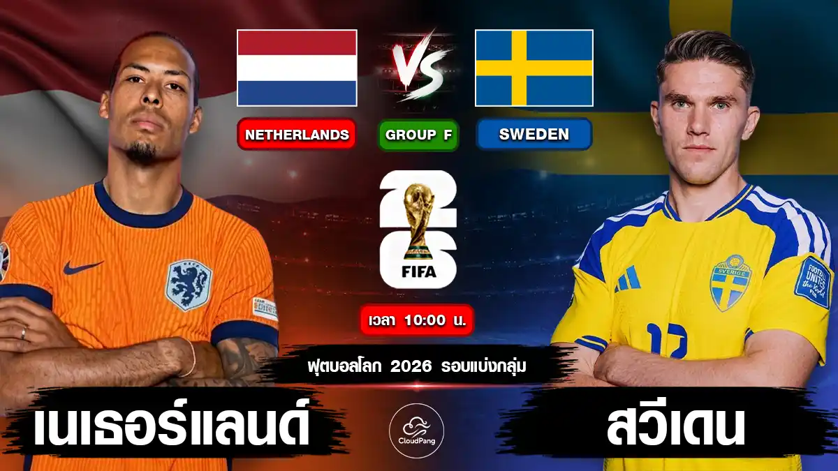เนเธอร์แลนด์ vs สวีเดน